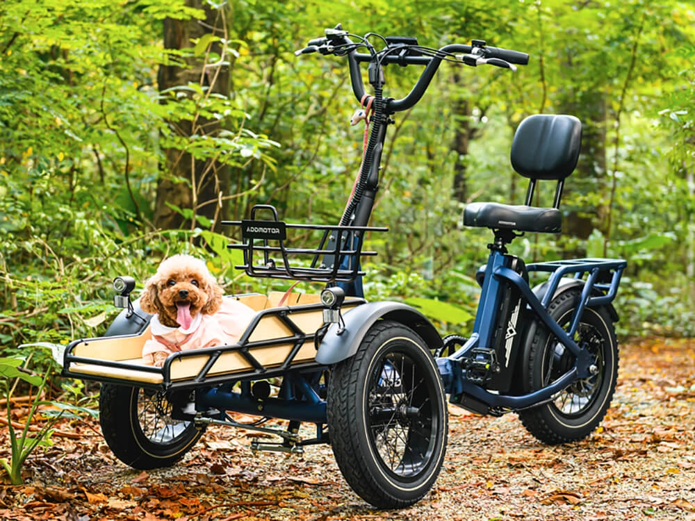 Family Utility eTrikes